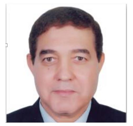 Nasr El Din Fawzi Abdalla